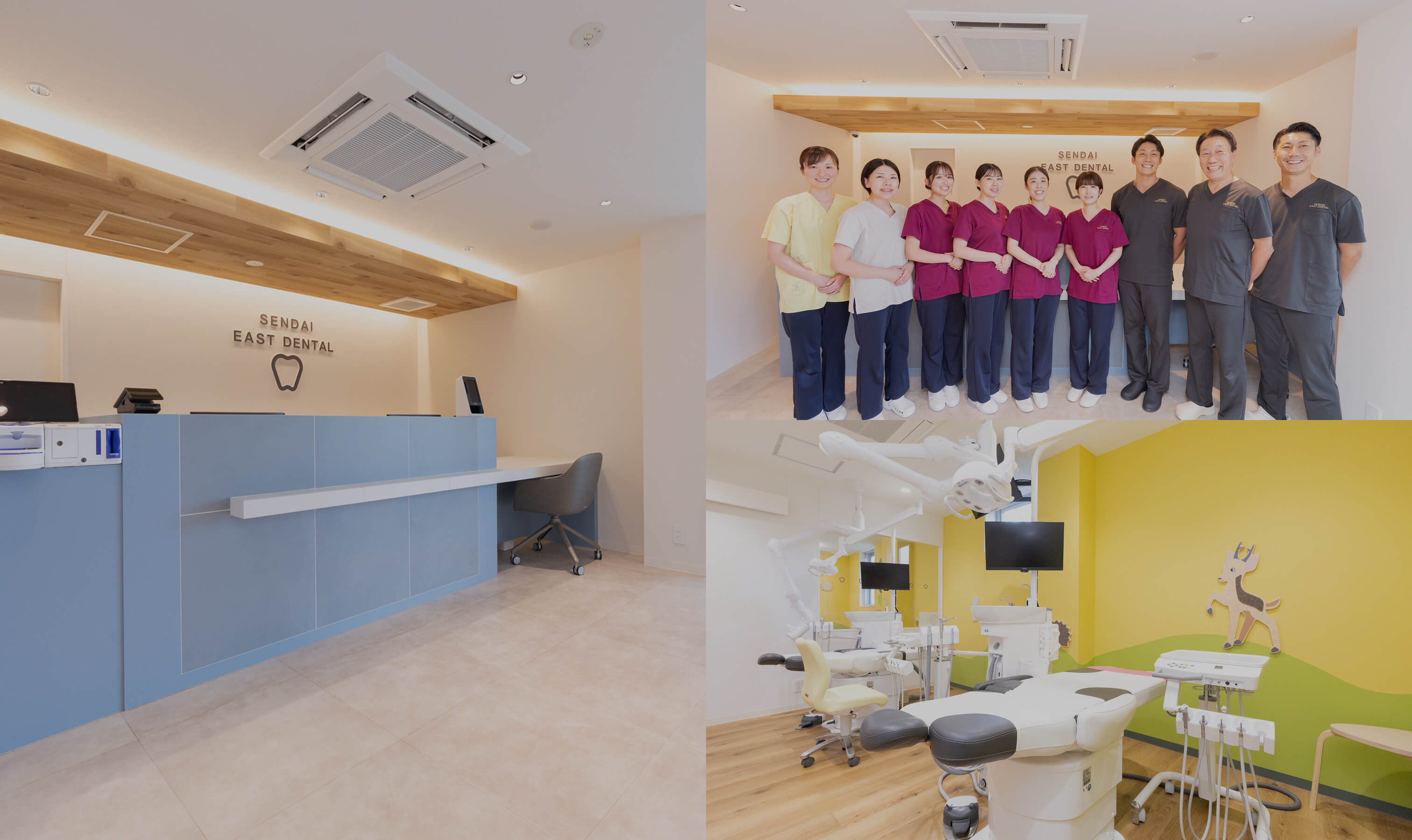 先進の総合的な歯科治療を実現